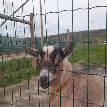 Casinhas Dos Valados