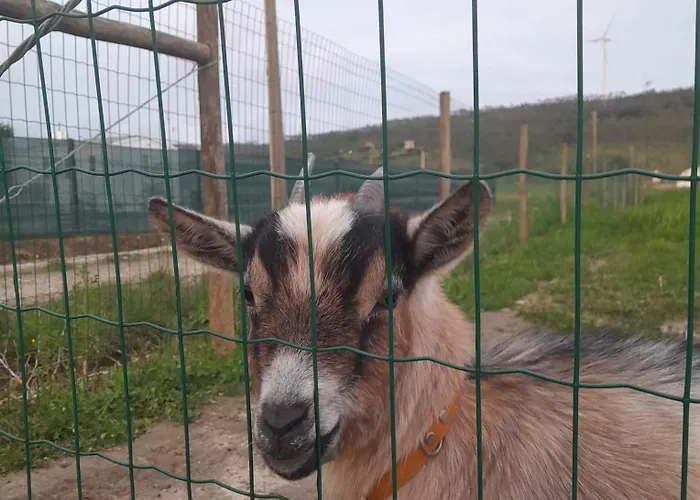 Casinhas Dos Valados