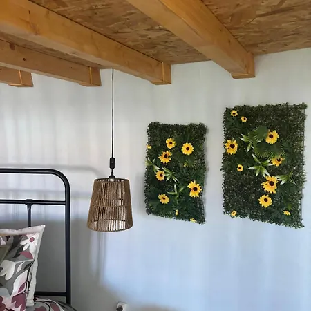 Casinhas Dos Valados Feriepark